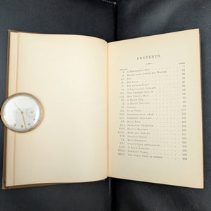 Under the Lilacs by Louisa M. Alcott (First Illustrated Edition, RARE), 1887 📚✨🇺🇸