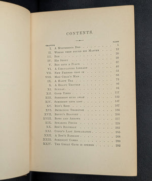 Under the Lilacs by Louisa M. Alcott (First Illustrated Edition, RARE), 1887 📚✨🇺🇸
