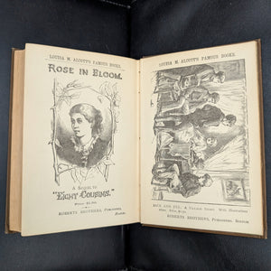 Under the Lilacs by Louisa M. Alcott (First Illustrated Edition, RARE), 1887 📚✨🇺🇸