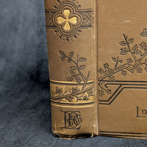 Jack and Jill: A Village Story by Louisa M. Alcott (Illustrated, Inscribed), 1910 📜🏡✨