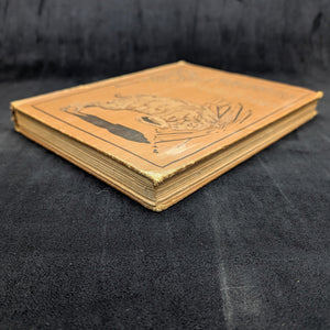 Billy Whiskers and the Radio by Uncredited (First Edition, Illustrated, Rare), 1927 🐐📻📚