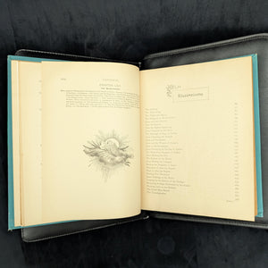 The Story of Jesus, by Canon Farrar, D.D., F.R.S., (RARE, Illustrated Edition with Full-Page Engravings), 1890 🙏📜🎨