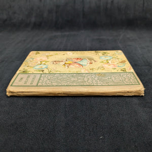 The Silver Buckle, by M. Natalie Crumpton, (RARE, First Edition, Illustrated), 1899 🇺🇸📜⚔️