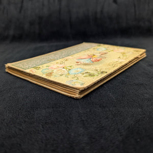 The Silver Buckle, by M. Natalie Crumpton, (RARE, First Edition, Illustrated), 1899 🇺🇸📜⚔️