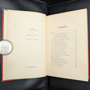 The Red Mist, A Tale of Civil Strife by Randall Parrish (1914 First Edition) - Signed Christmas Gift 🎄⚔️🇺🇸