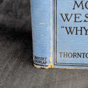 Mother West Wind “Why” Stories by Thornton W. Burgess (1915 Grosset & Dunlap Reprint) - Harrison Cady Illustrated 🦉🐇📜