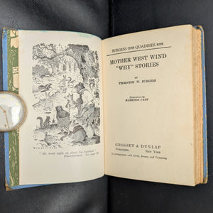 Mother West Wind “Why” Stories by Thornton W. Burgess (1915 Grosset & Dunlap Reprint) - Harrison Cady Illustrated 🦉🐇📜