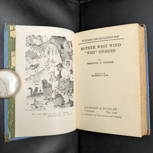 Mother West Wind “Why” Stories by Thornton W. Burgess (1915 Grosset & Dunlap Reprint) - Harrison Cady Illustrated 🦉🐇📜