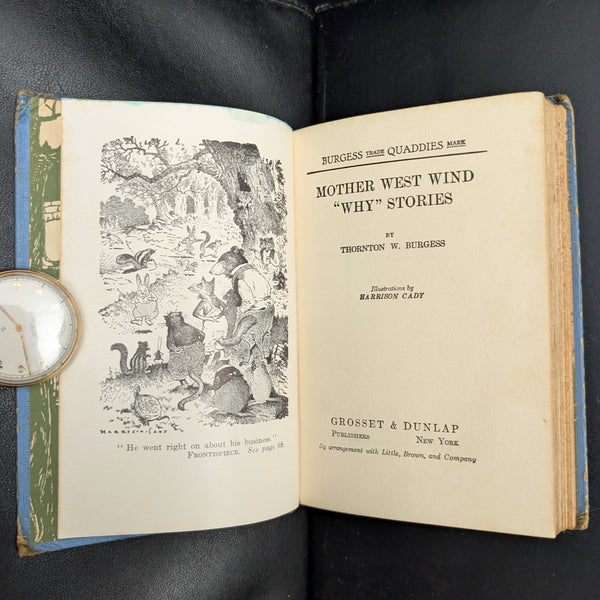 Mother West Wind “Why” Stories by Thornton W. Burgess (1915 Grosset & Dunlap Reprint) - Harrison Cady Illustrated 🦉🐇📜