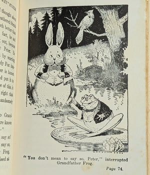 Mother West Wind “Why” Stories by Thornton W. Burgess (1915 Grosset & Dunlap Reprint) - Harrison Cady Illustrated 🦉🐇📜