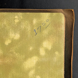 Longfellow's Poems (Art Nouveau Suede Half-Binding with Gilt Inlay), Circa 1910 ✍️🇺🇸⚜️