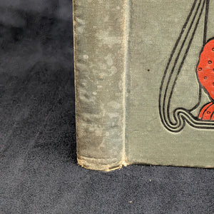 Mrs. Alderman Casey by Irene Stoddard Capwell (FIRST EDITION), 1905 📜✍️🇮🇪