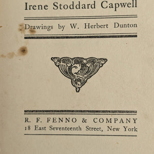 Mrs. Alderman Casey by Irene Stoddard Capwell (FIRST EDITION), 1905 📜✍️🇮🇪