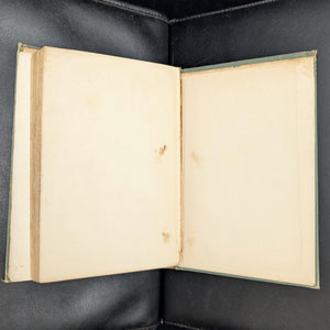 Mrs. Alderman Casey by Irene Stoddard Capwell (FIRST EDITION), 1905 📜✍️🇮🇪