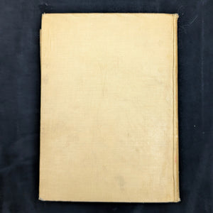 Children's Stories From The Bible (48 Colour Plates), Circa 1920 🇬🇧👶📖