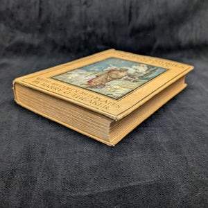 Children's Stories From The Bible (48 Colour Plates), Circa 1920 🇬🇧👶📖