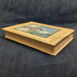 Children's Stories From The Bible (48 Colour Plates), Circa 1920 🇬🇧👶📖