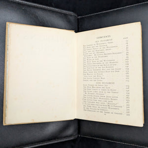 Children's Stories From The Bible (48 Colour Plates), Circa 1920 🇬🇧👶📖