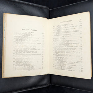 Children's Stories From The Bible (48 Colour Plates), Circa 1920 🇬🇧👶📖