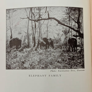 The Nile: The Life-Story of a River by Emil Ludwig (FIRST ENGLISH EDITION), 1937 🌊📜🗺️