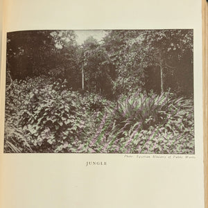 The Nile: The Life-Story of a River by Emil Ludwig (FIRST ENGLISH EDITION), 1937 🌊📜🗺️