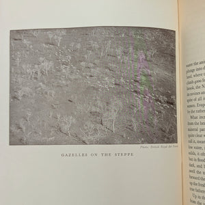 The Nile: The Life-Story of a River by Emil Ludwig (FIRST ENGLISH EDITION), 1937 🌊📜🗺️