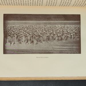 The Nile: The Life-Story of a River by Emil Ludwig (FIRST ENGLISH EDITION), 1937 🌊📜🗺️