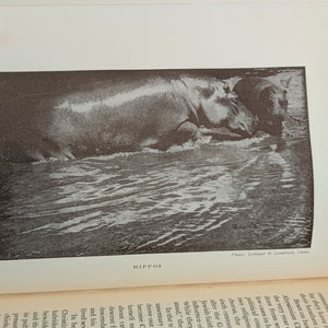 The Nile: The Life-Story of a River by Emil Ludwig (FIRST ENGLISH EDITION), 1937 🌊📜🗺️