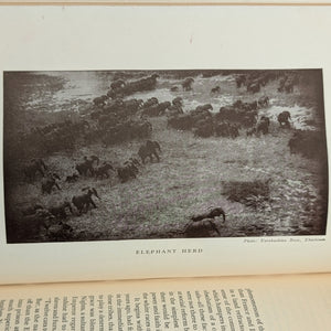The Nile: The Life-Story of a River by Emil Ludwig (FIRST ENGLISH EDITION), 1937 🌊📜🗺️