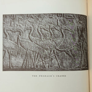 The Nile: The Life-Story of a River by Emil Ludwig (FIRST ENGLISH EDITION), 1937 🌊📜🗺️