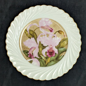 Hand-Painted Commemorative Plate Set – Haviland Limoges for D.A.R. "A Legacy Preserved" (c. 1982) 🌸⚜️🇫🇷