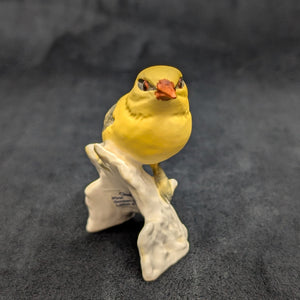 Vintage Goebel Porcelain Bird Figurine, Golden Oriole (W. Germany) ☀️🐦🇩🇪
