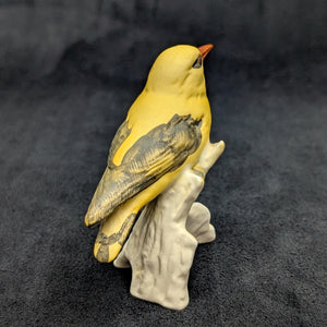 Vintage Goebel Porcelain Bird Figurine, Golden Oriole (W. Germany) ☀️🐦🇩🇪