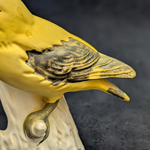 Vintage Goebel Porcelain Bird Figurine, Golden Oriole (W. Germany) ☀️🐦🇩🇪