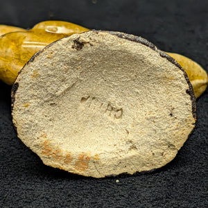 Vintage Miniature Ceramic Waterfowl Figurine Set (10 Pcs, Crackle Glaze, Marked China) 🦢🦆🎨