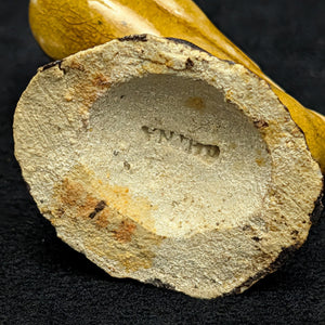 Vintage Miniature Ceramic Waterfowl Figurine Set (10 Pcs, Crackle Glaze, Marked China) 🦢🦆🎨