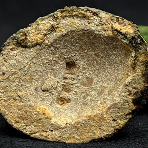 Vintage Miniature Ceramic Waterfowl Figurine Set (10 Pcs, Crackle Glaze, Marked China) 🦢🦆🎨