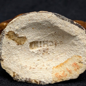 Vintage Miniature Ceramic Waterfowl Figurine Set (10 Pcs, Crackle Glaze, Marked China) 🦢🦆🎨