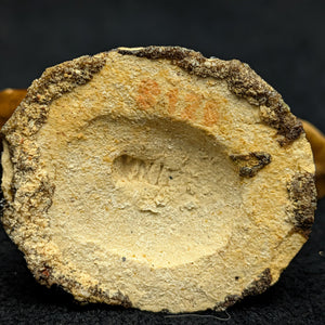 Vintage Miniature Ceramic Waterfowl Figurine Set (10 Pcs, Crackle Glaze, Marked China) 🦢🦆🎨