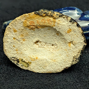 Vintage Miniature Ceramic Waterfowl Figurine Set (10 Pcs, Crackle Glaze, Marked China) 🦢🦆🎨