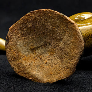 Vintage Miniature Ceramic Waterfowl Figurine Set (10 Pcs, Crackle Glaze, Marked China) 🦢🦆🎨