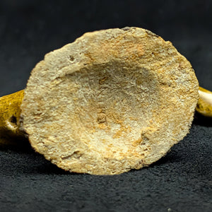 Vintage Miniature Ceramic Waterfowl Figurine Set (10 Pcs, Crackle Glaze, Marked China) 🦢🦆🎨