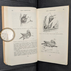 Basic Field Manual, Signal Communication (FM 24-5), U.S. War Dept. (1939) - Suisun, CA Military Ephemera 🇺🇸📞⚔️